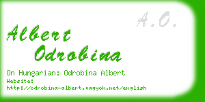 albert odrobina business card